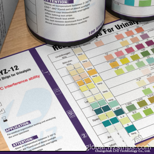 Urs 14 Reagent Strips For Urinalysis urine test strips uncut sheet for 12 parameter Manufactory